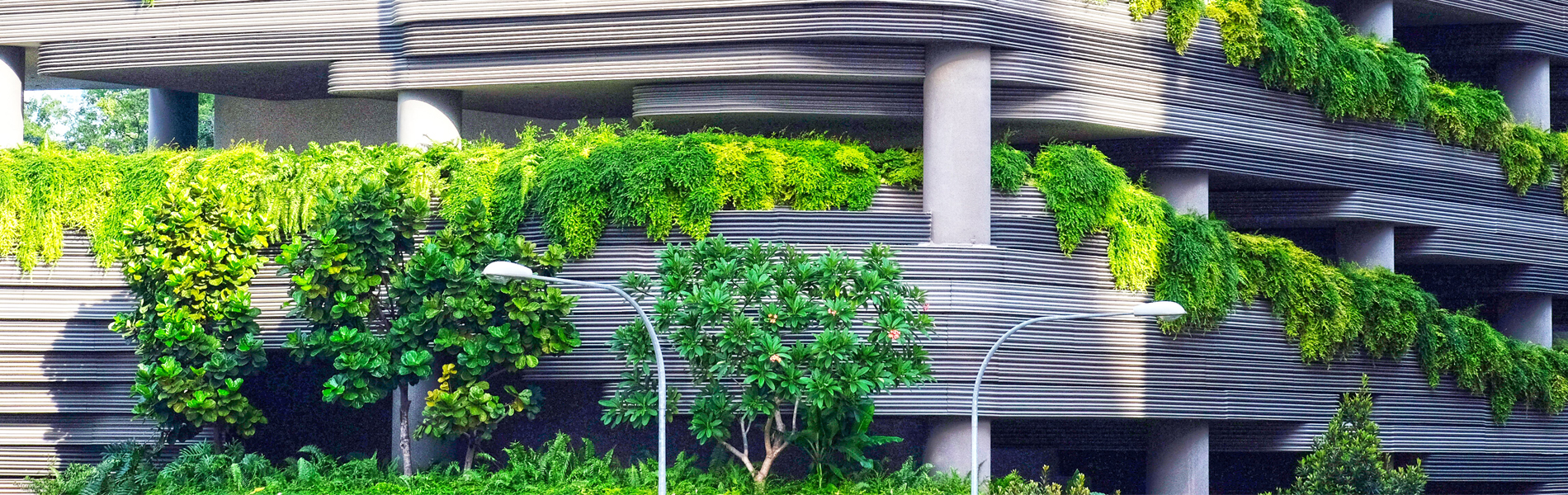 Modern building with a lot of green leafs and trees | Coor